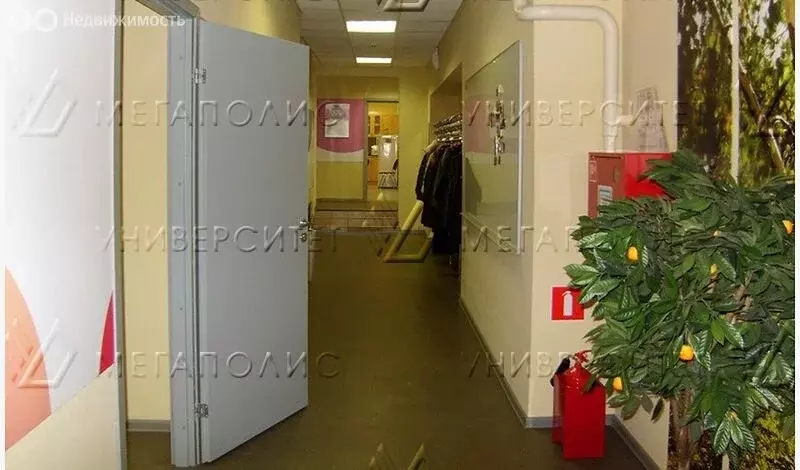 Офис (380 м) - Фото 1