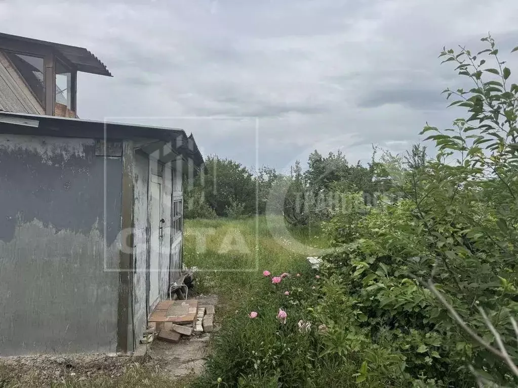 Участок в Воронежская область, Воронеж Вега-88 СНТ, ул. 13-я, 540 (6.0 ... - Фото 1