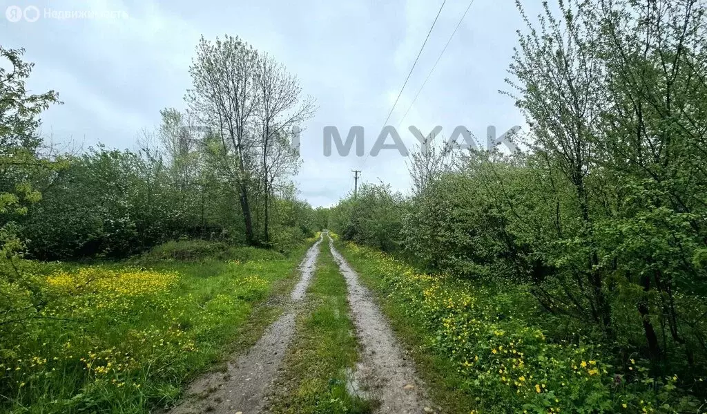 Участок в посёлок Табачный, 3-я Кизиловая улица (5.16 м) - Фото 2