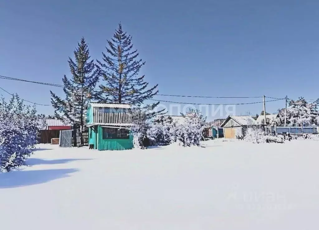 Участок в Амурская область, Белогорск  (6.0 сот.) - Фото 1