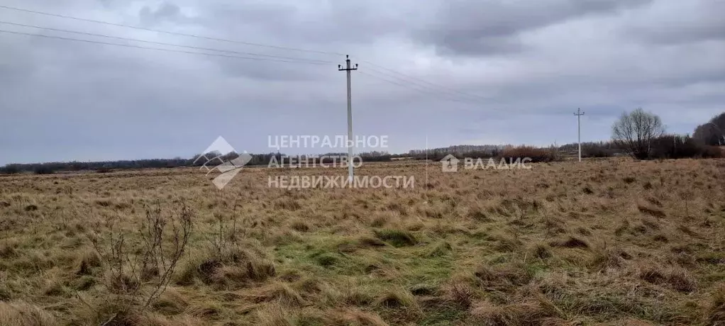 Участок в Рязанская область, Рязанский муниципальный округ, с. ... - Фото 0