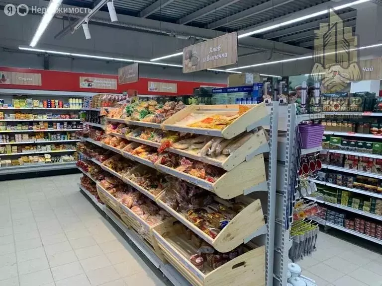 Помещение свободного назначения (540 м) - Фото 2