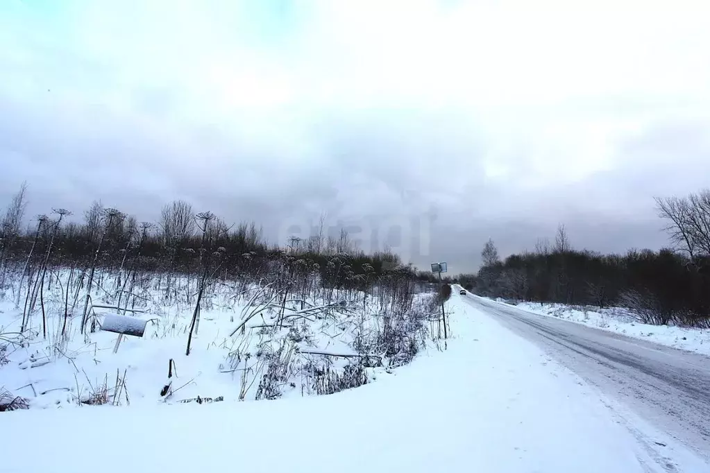 Участок в Санкт-Петербург, Санкт-Петербург, Пушкин  (286.0 сот.) - Фото 2