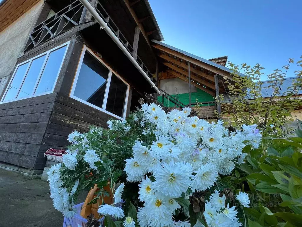 Участок в Алтай, Чемальский район, Элекмонарское с/пос, с. Элекмонар ... - Фото 1