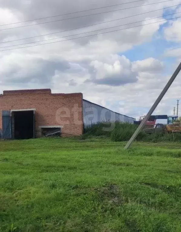 Склад в Новосибирская область, Колыванский район, Нива СНТ ул. ... - Фото 1