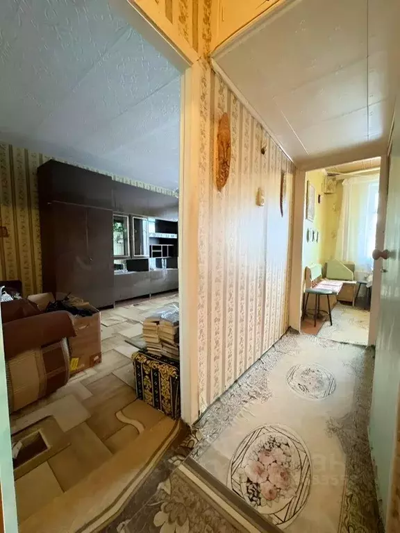 1-к кв. Московская область, Шатура муниципальный округ, д. Левошево 34 ... - Фото 1