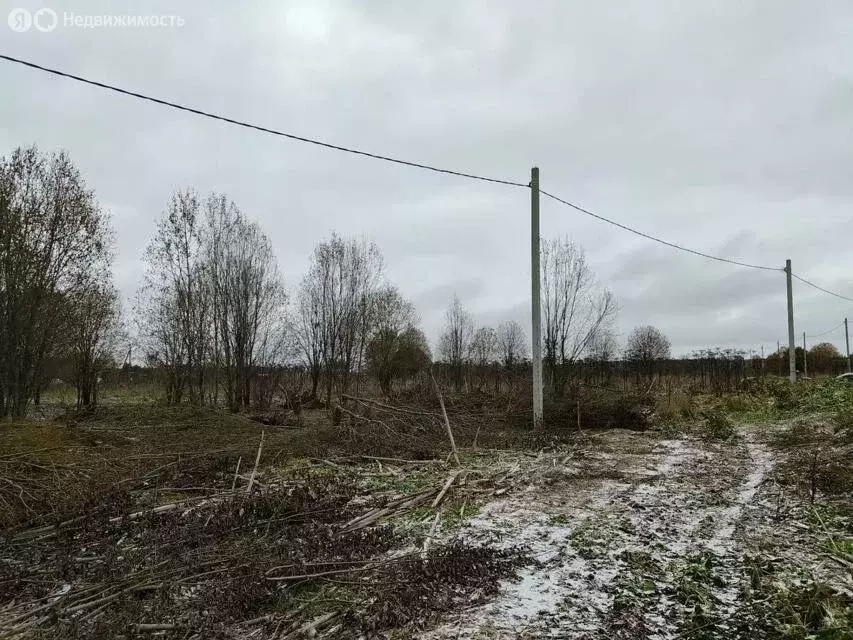 Участок в Волосовский район, Большеврудское сельское поселение, ... - Фото 2