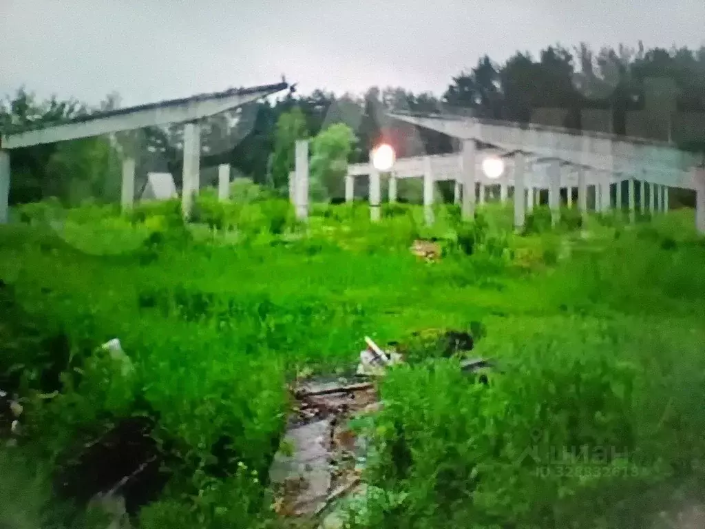 Участок в Московская область, Коломна городской округ, д. Щурово ул. ... - Фото 1