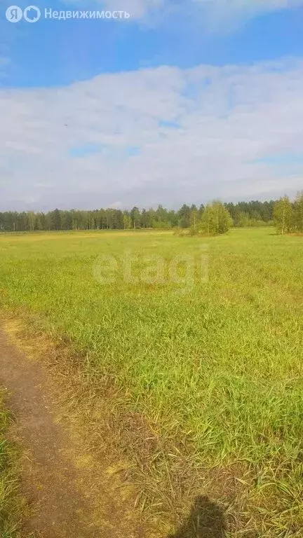 Участок в Нижнетавдинский район, коттеджный посёлок Земляника (6.13 м) - Фото 1