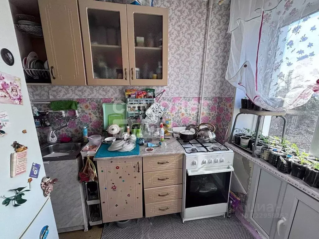 1-к кв. Челябинская область, Златоуст 3-й микрорайон проспекта имени ... - Фото 1