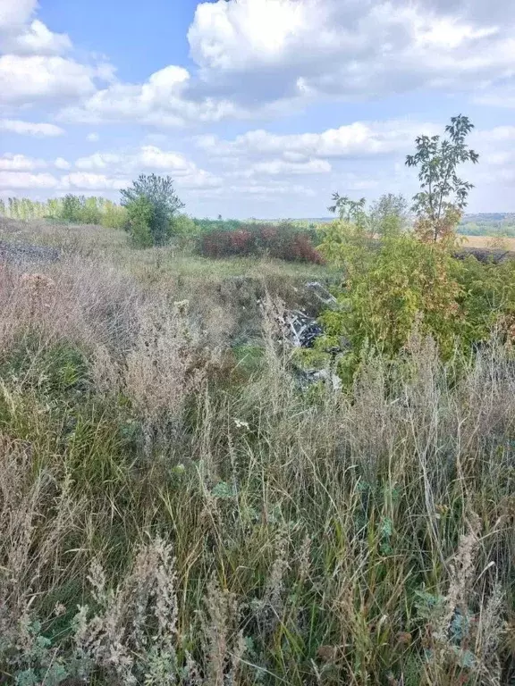 Участок в Белгородская область, Белгородский район, Ериковское с/пос, ... - Фото 1