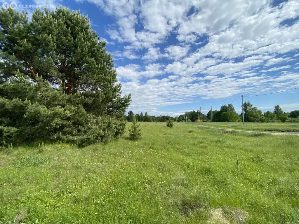 Участок в Бессоновский район, посёлок Подлесный, коттеджный посёлок ... - Фото 0