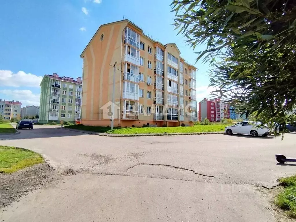 Студия Ивановская область, Иваново Бакинский проезд, 53Блит2 (27.0 м) - Фото 2