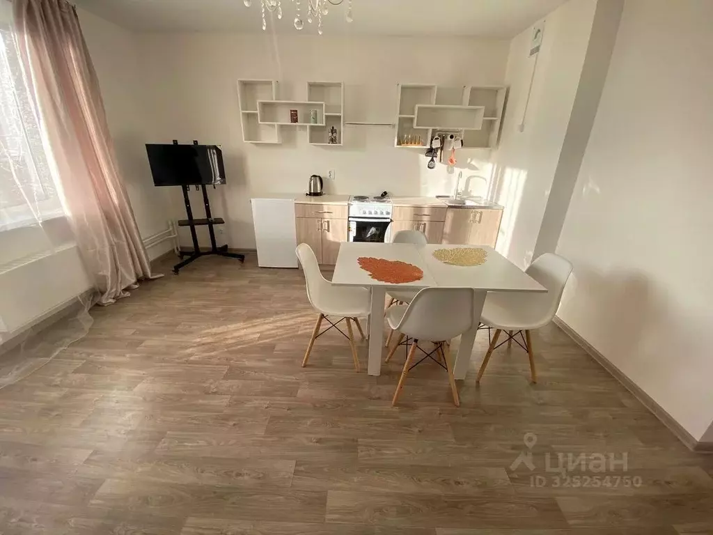 1-к кв. Челябинская область, Челябинский городской округ, пос. ... - Фото 2