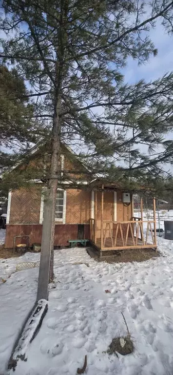 Дом в Хабаровский край, Хабаровск ул. Коммунальник-1, 101 (16 м) - Фото 1