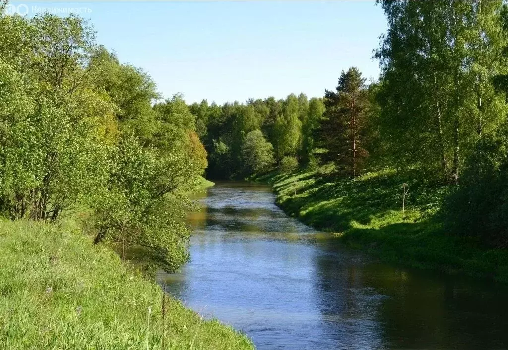 Участок в Московская область, городской округ Щёлково, территория ... - Фото 2