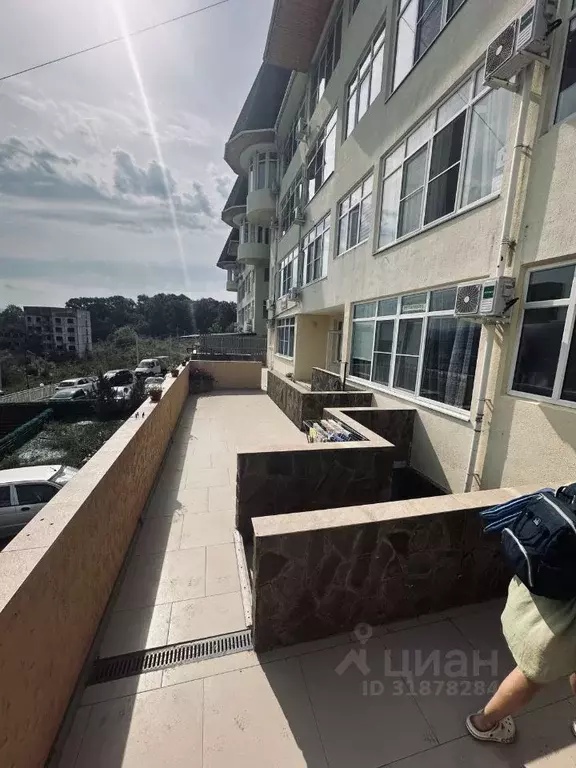 Студия Краснодарский край, Сочи ул. Огородная, 360 (24.0 м) - Фото 0