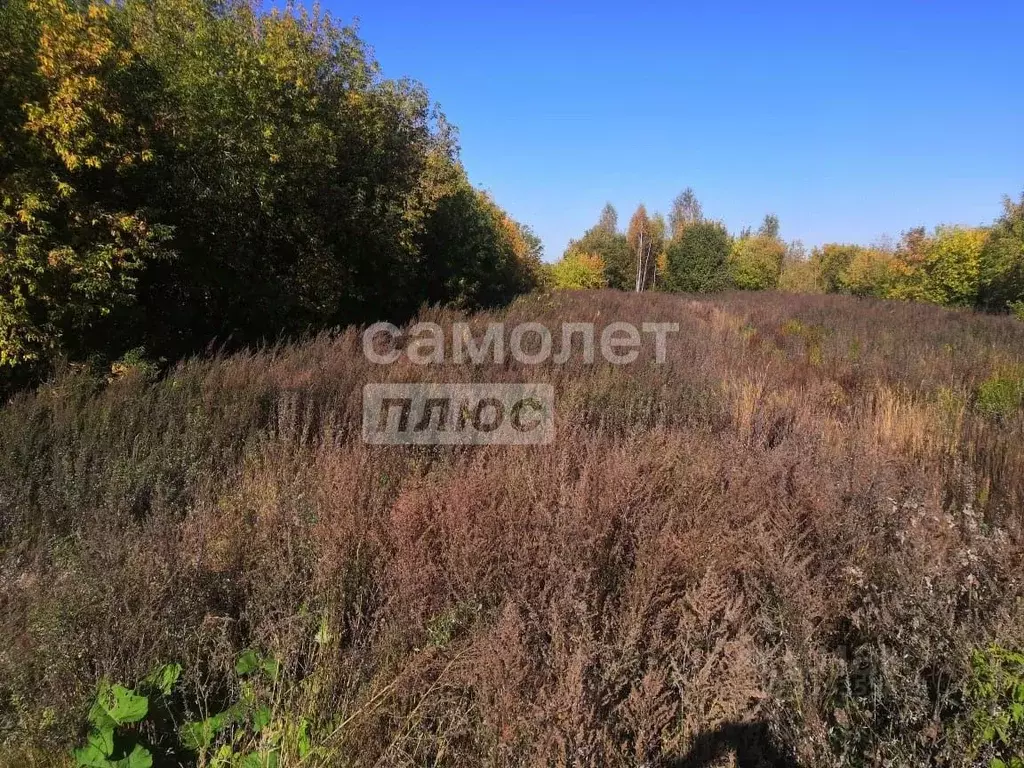 Участок в Московская область, Клин городской округ, д. Медведково  ... - Фото 1