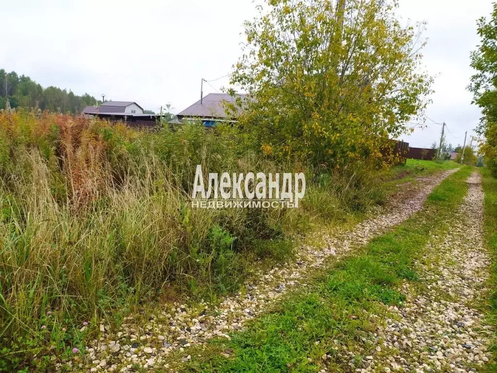 Участок в Новгородская область, Чудовский район, Трегубовское с/пос, ... - Фото 2
