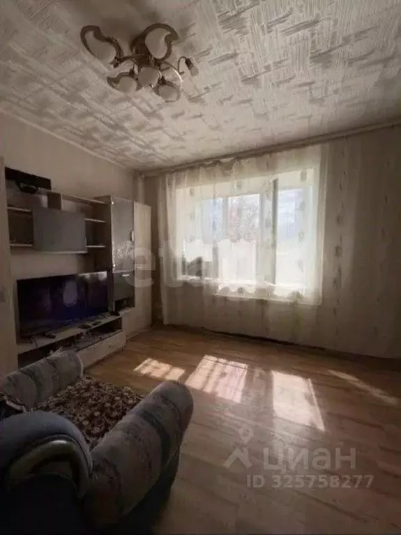 Комната Забайкальский край, Чита ул. Недорезова, 16 (35.9 м) - Фото 1