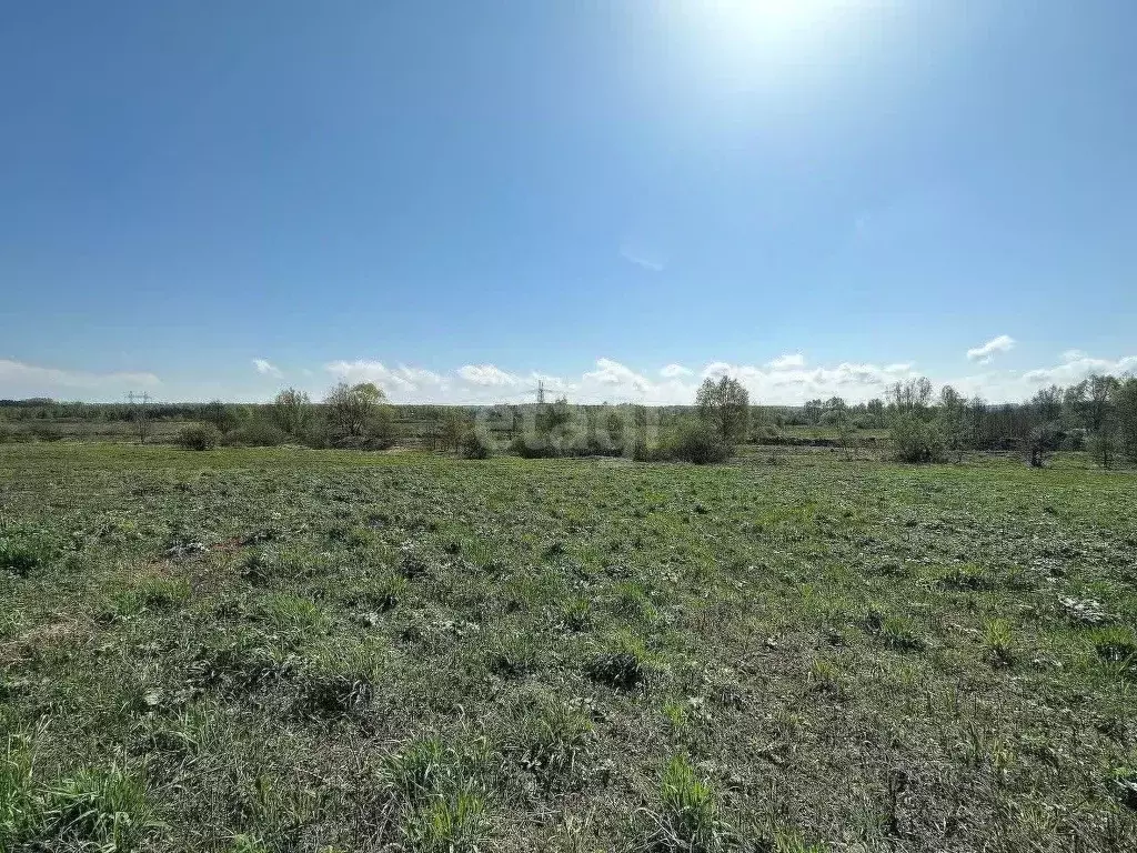 Участок в Нижегородская область, Богородский муниципальный округ, д. ... - Фото 0