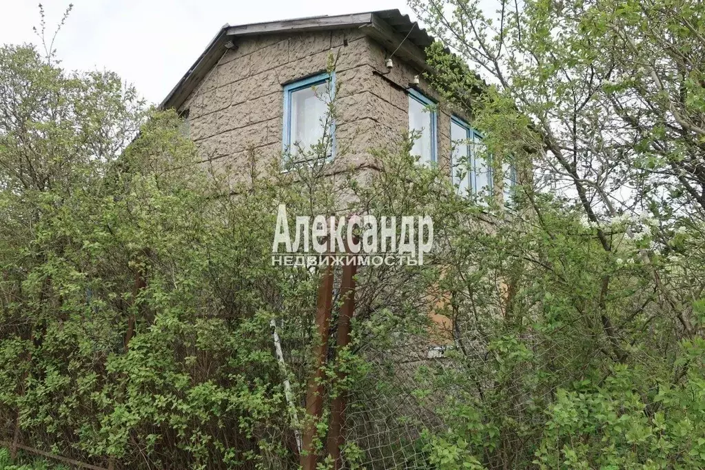 Дом в Ленинградская область, Выборг ул. Садоводческая (70 м) - Фото 0