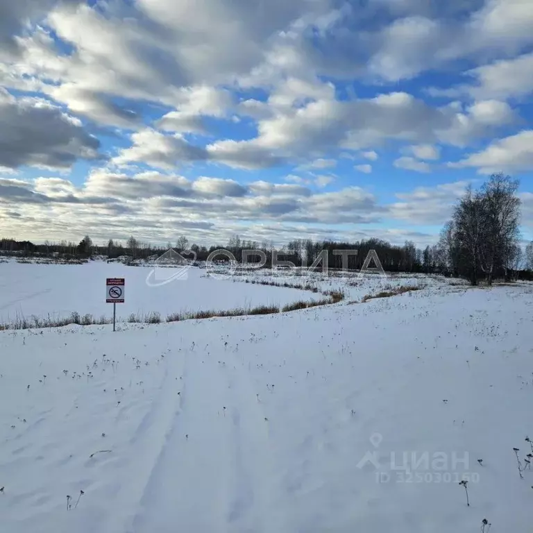 Участок в Тюменская область, Тюменский муниципальный округ, д. Ушакова ... - Фото 2
