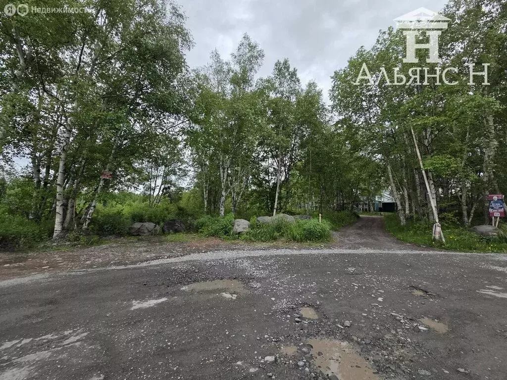 Участок в Камчатский край, Елизово (90.6 м) - Фото 2