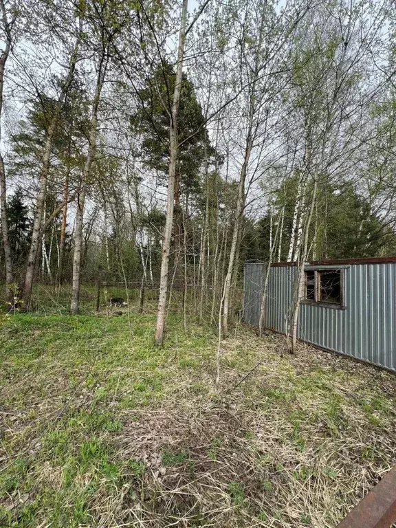 Участок в Московская область, Раменский муниципальный округ, Шмеленки ... - Фото 1