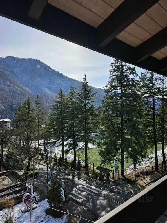 1-к кв. Краснодарский край, Сочи Красная Поляна пгт, ул. Трудовой ... - Фото 2