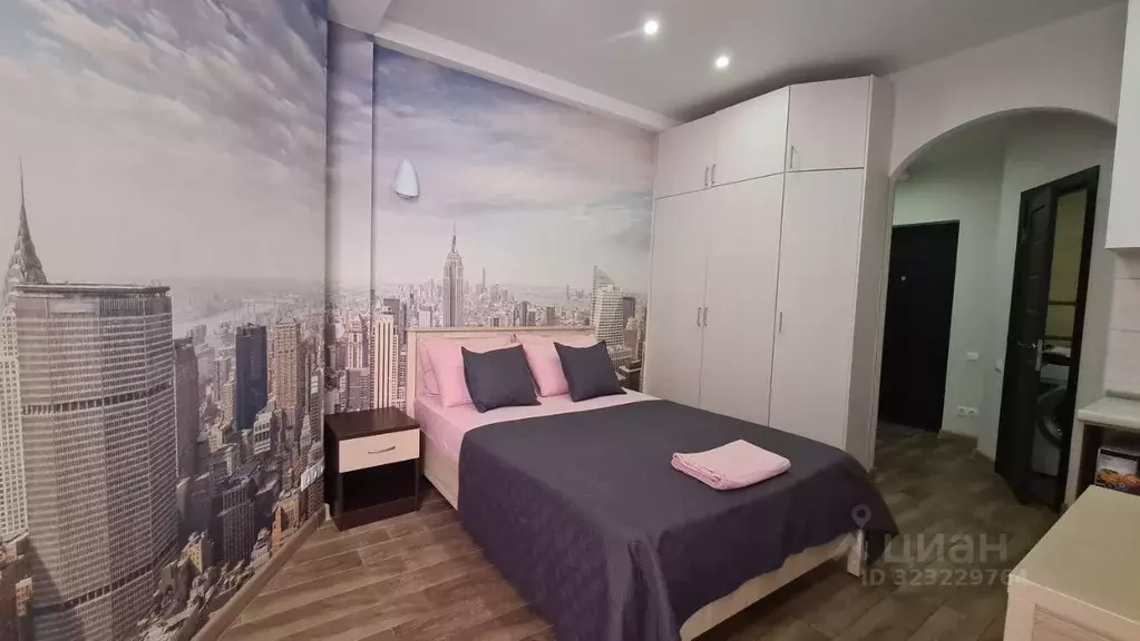 Студия Краснодарский край, Сочи ул. Просвещения, 147/1 (23.0 м) - Фото 1