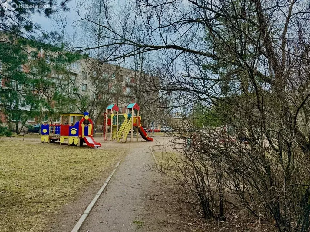 1-комнатная квартира: Сестрорецк, Приморское шоссе, 342 (30.2 м) - Фото 2