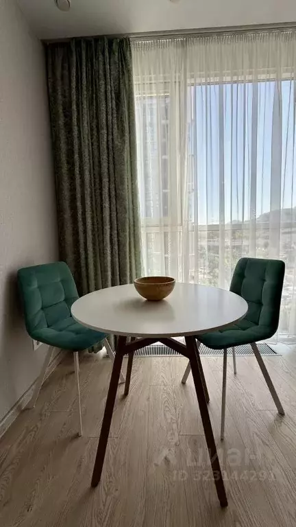 Студия Краснодарский край, Сочи Бытха мкр, ул. Ясногорская, 16/6к2 ... - Фото 2