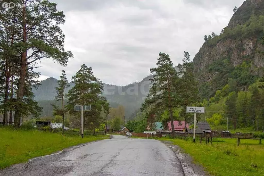 Участок в Чемальский район, село Анос (10.01 м) - Фото 2