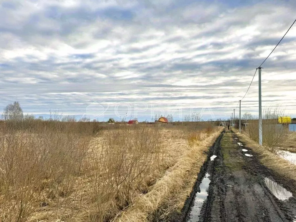 Участок в Тюменская область, Тюменский район, Горошинка-3 СНТ ул. ... - Фото 0