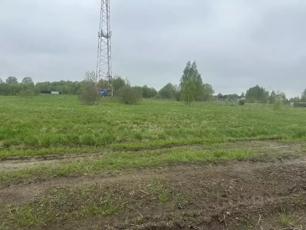 Участок в Московская область, Рузский муниципальный округ, д. Грибцово ... - Фото 1