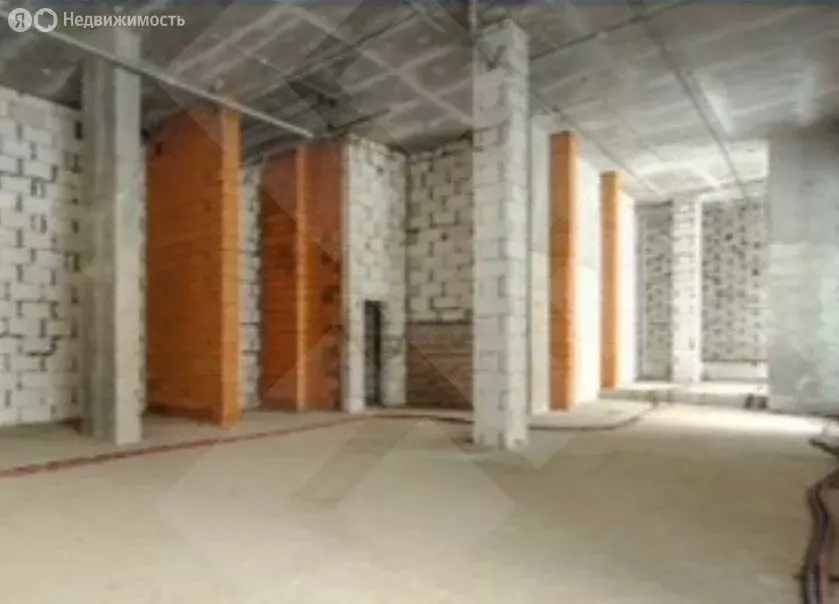 Помещение свободного назначения (243 м) - Фото 2