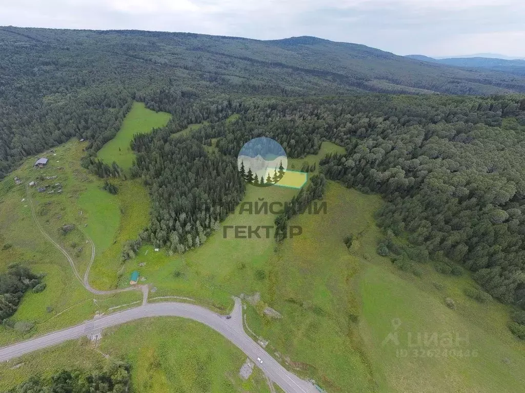 Участок в Алтай, Чойский район, Паспаульское с/пос, с. Сухой Карасук  ... - Фото 1