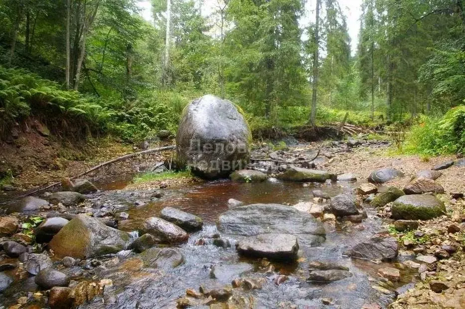 Дом в Новгородская область, Любытинское с/пос, д. Галица  (56 м) - Фото 1