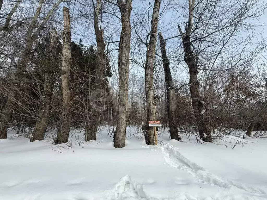 Участок в Курганская область, Кетовский муниципальный округ, СТ Волна ... - Фото 2