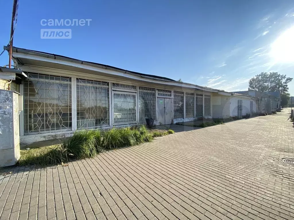 Сдам помещение свободного назначения, 350.8 м - Фото 0