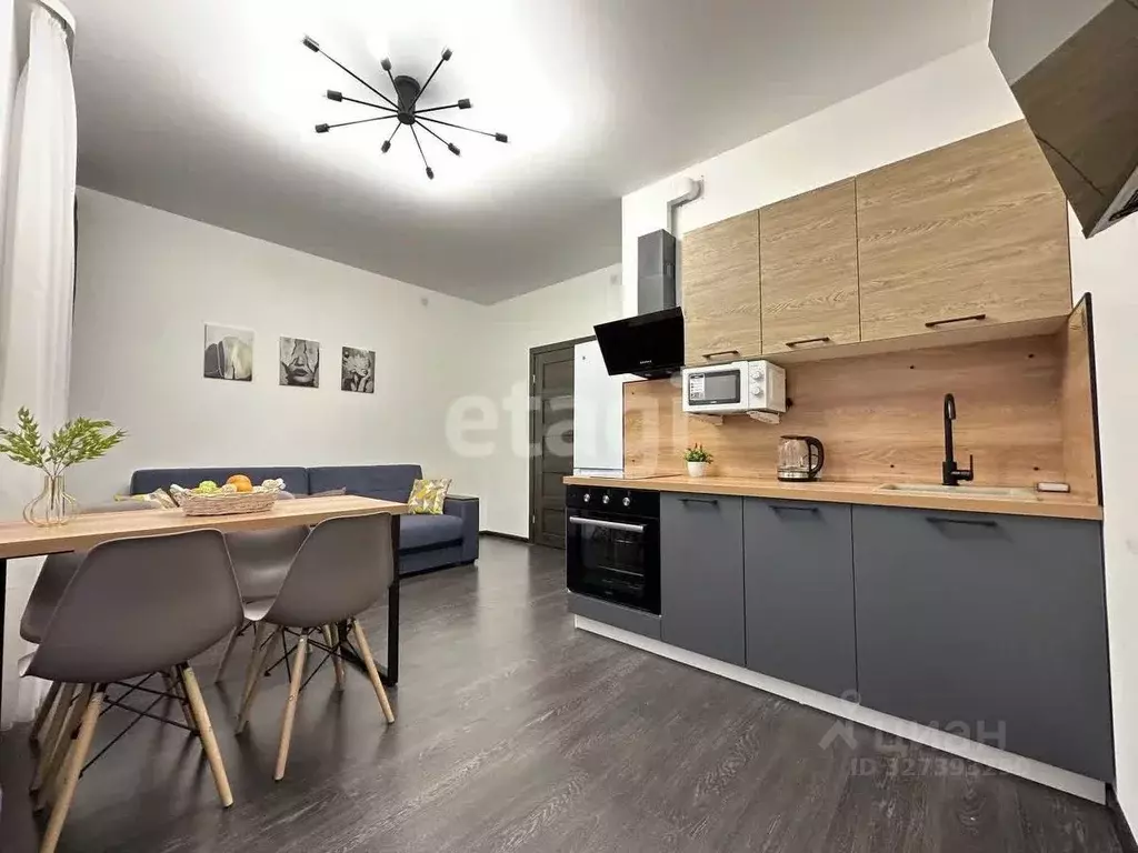 Студия Санкт-Петербург ул. Меридианная, 4 (24.3 м) - Фото 1