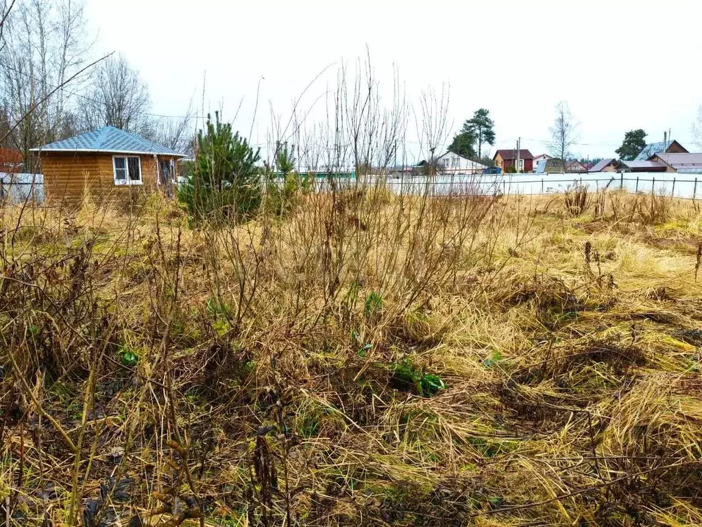 Участок в Владимирская область, Покров городской округ, д. Иваново ул. ... - Фото 2