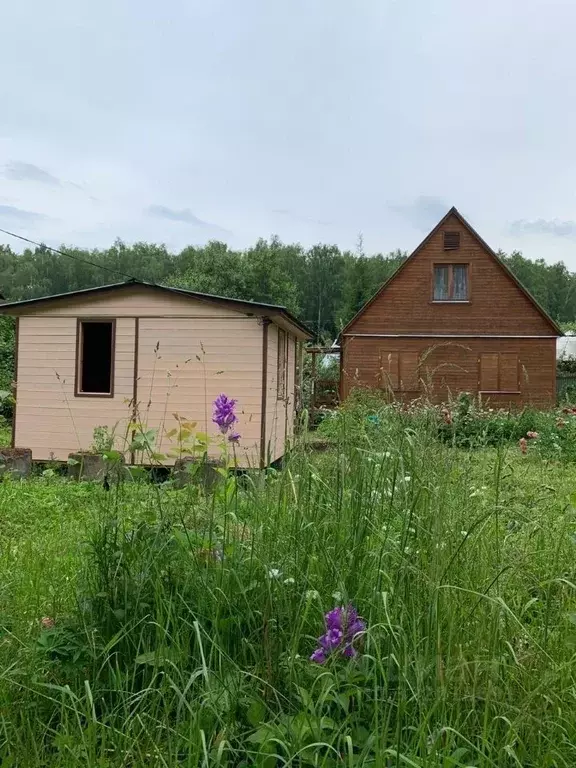 Дом в Московская область, Одинцовский городской округ, Вязы СНТ 101 ... - Фото 1