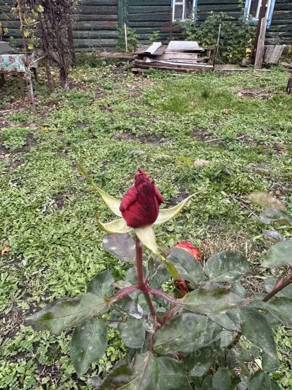 Дом в Орловская область, Орел Карьерный пер., 10 (94 м) - Фото 1