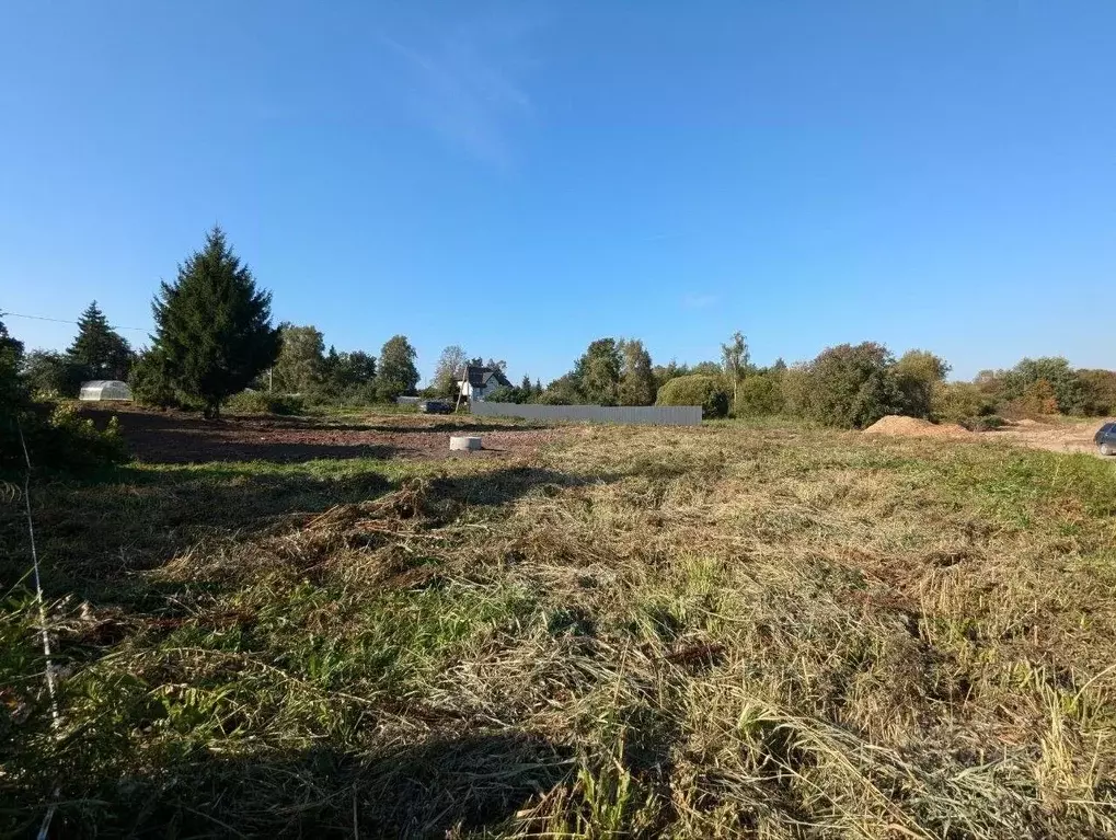 Участок в Ленинградская область, Гатчинский район, д. Малое Верево ул. ... - Фото 0