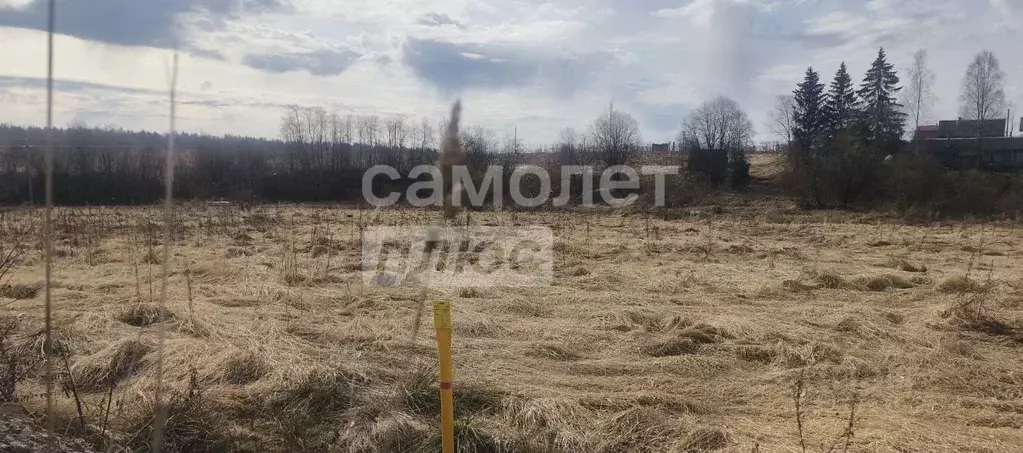 Участок в Ленинградская область, Тосненское городское поселение, д. ... - Фото 1