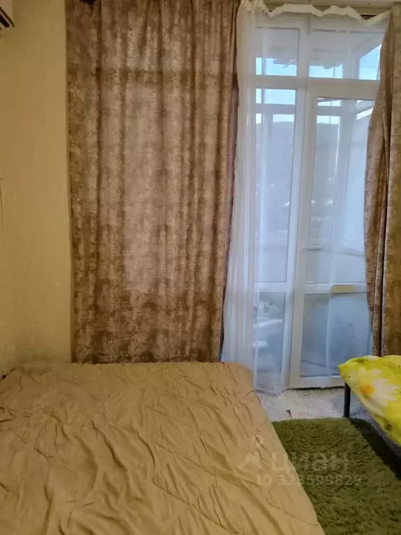 Студия Краснодарский край, Сочи Лесной ЖСК, 56 (20.0 м) - Фото 2