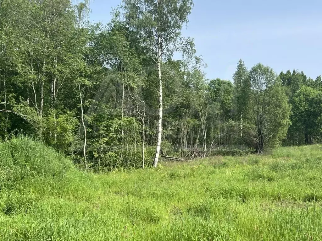 Участок в Ленинградская область, Приозерский район, Громовское с/пос, ... - Фото 2
