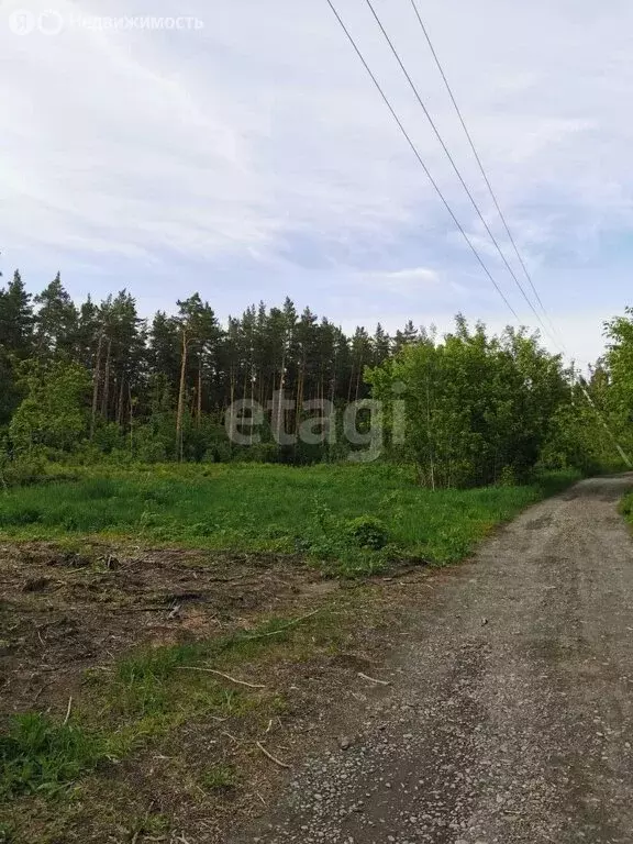 Участок в Бийск, Заводская улица (25 м) - Фото 1